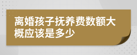 离婚孩子抚养费数额大概应该是多少