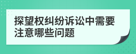 探望权纠纷诉讼中需要注意哪些问题