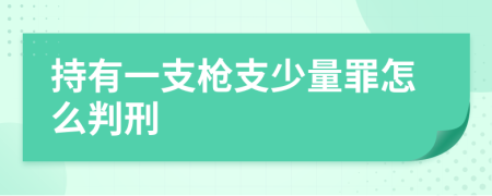 持有一支枪支少量罪怎么判刑