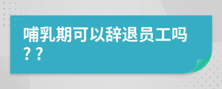 哺乳期可以辞退员工吗? ?