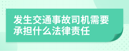 发生交通事故司机需要承担什么法律责任