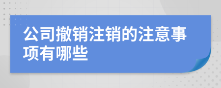 公司撤销注销的注意事项有哪些