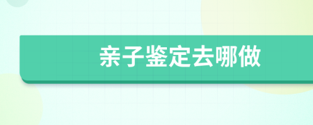 亲子鉴定去哪做