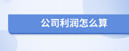 公司利润怎么算