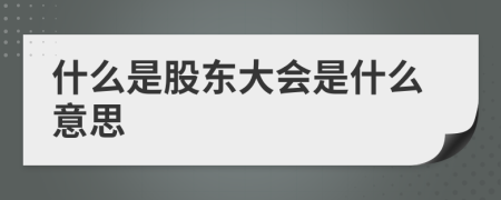 什么是股东大会是什么意思