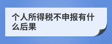 个人所得税不申报有什么后果