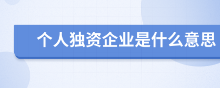 个人独资企业是什么意思