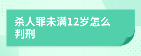 杀人罪未满12岁怎么判刑