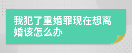 我犯了重婚罪现在想离婚该怎么办