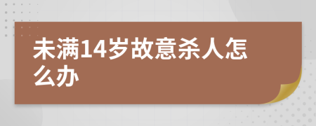 未满14岁故意杀人怎么办