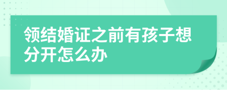 领结婚证之前有孩子想分开怎么办