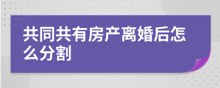 共同共有房产离婚后怎么分割