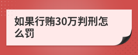 如果行贿30万判刑怎么罚