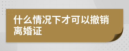 什么情况下才可以撤销离婚证