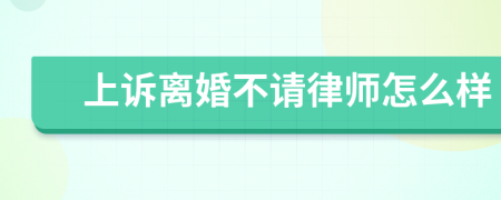 上诉离婚不请律师怎么样