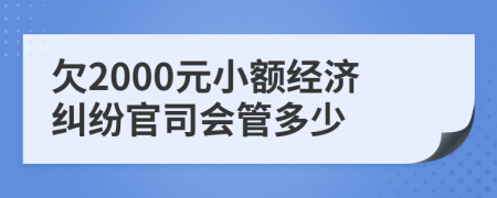 欠2000元小额经济纠纷官司会管多少