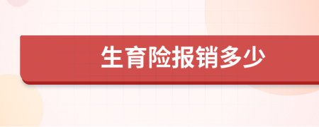 生育险报销多少