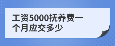 工资5000抚养费一个月应交多少