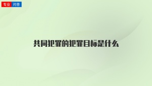 共同犯罪的犯罪目标是什么