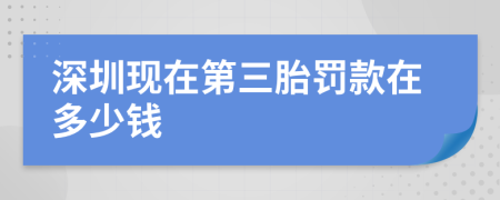 深圳现在第三胎罚款在多少钱