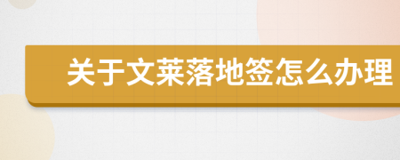 关于文莱落地签怎么办理