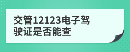 交管12123电子驾驶证是否能查