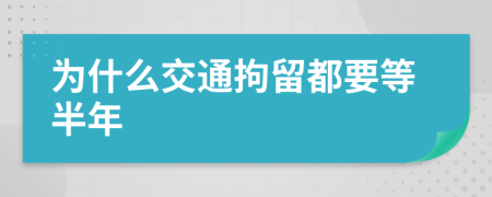 为什么交通拘留都要等半年