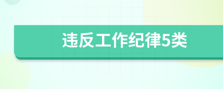 违反工作纪律5类
