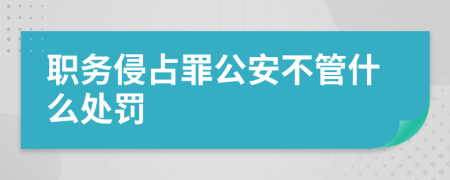 职务侵占罪公安不管什么处罚