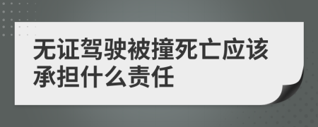 无证驾驶被撞死亡应该承担什么责任