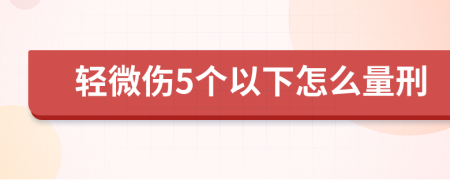 轻微伤5个以下怎么量刑