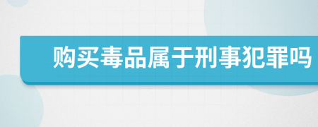 购买毒品属于刑事犯罪吗