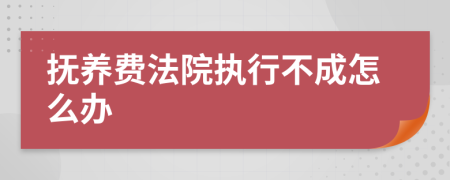 抚养费法院执行不成怎么办