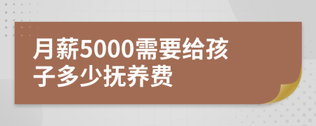 月薪5000需要给孩子多少抚养费