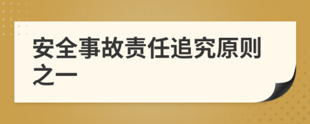 安全事故责任追究原则之一