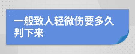 一般致人轻微伤要多久判下来