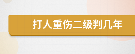 打人重伤二级判几年