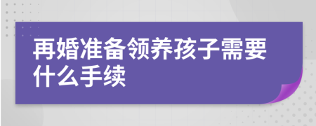 再婚准备领养孩子需要什么手续