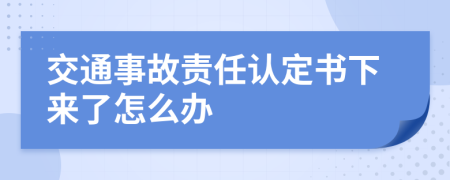 交通事故责任认定书下来了怎么办