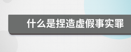 什么是捏造虚假事实罪