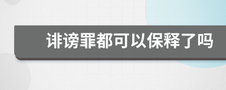 诽谤罪都可以保释了吗