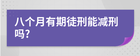 八个月有期徒刑能减刑吗?