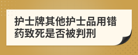 护士牌其他护士品用错药致死是否被判刑