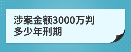 涉案金额3000万判多少年刑期