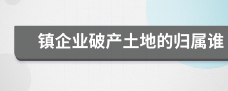 镇企业破产土地的归属谁