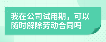 我在公司试用期，可以随时解除劳动合同吗