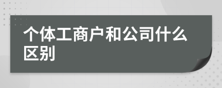 个体工商户和公司什么区别