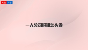 一人公司报税怎么做