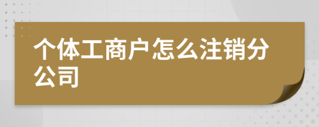 个体工商户怎么注销分公司