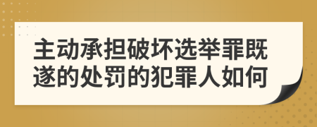 主动承担破坏选举罪既遂的处罚的犯罪人如何